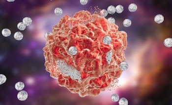 Novel Nanotechnology Reveals Efficacy in Mouse Fashions of A number of Cancers