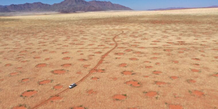 Delusion, busted: Formation of Namibia’s fairy circles isn’t on account of termites