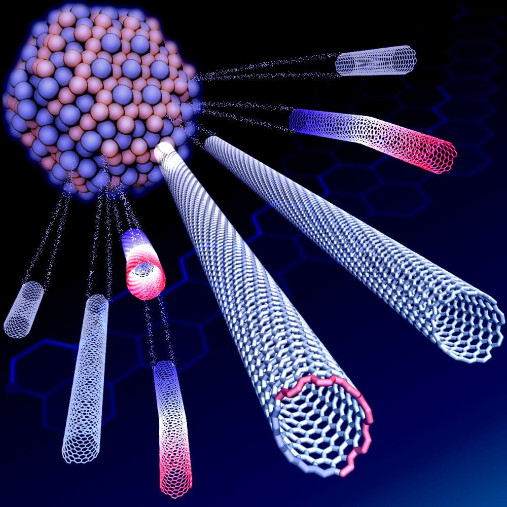The World Marketplace for Single-Walled Carbon Nanotubes 2021