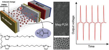 Magnetic-field-controlled counterion migration inside polyionic liquid micropores permits nano-energy harvest